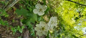 Enlarge photo 175