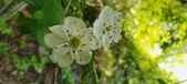 Enlarge photo 176