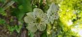 Enlarge photo 178