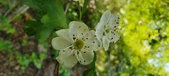 Enlarge photo 179