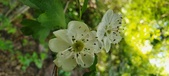 Enlarge photo 180