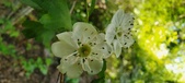 Enlarge photo 181