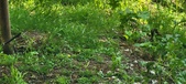 Enlarge photo 182