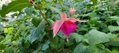 Enlarge photo 188
