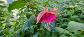 Enlarge photo 189