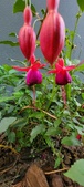 Enlarge photo 200