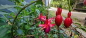 Enlarge photo 203
