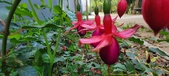 Enlarge photo 204