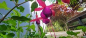 Enlarge photo 206