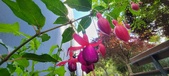 Enlarge photo 207