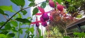 Enlarge photo 208