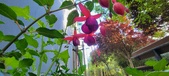 Enlarge photo 209