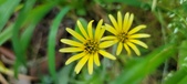 Enlarge photo 210