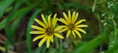 Enlarge photo 212