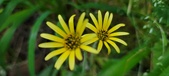 Enlarge photo 213