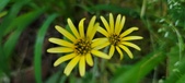 Enlarge photo 214