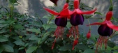 Enlarge photo 215