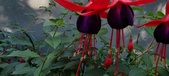 Enlarge photo 216