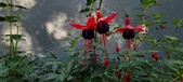 Enlarge photo 218