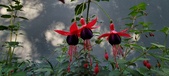 Enlarge photo 220