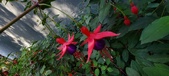 Enlarge photo 222
