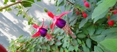 Enlarge photo 224