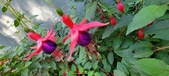 Enlarge photo 226