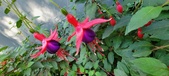 Enlarge photo 228
