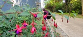 Enlarge photo 233