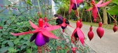 Enlarge photo 234