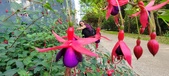 Enlarge photo 236