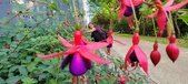 Enlarge photo 237