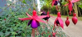 Enlarge photo 238