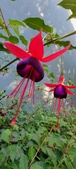 Enlarge photo 244