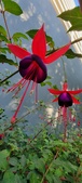 Enlarge photo 247