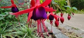 Enlarge photo 248