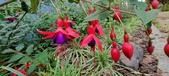 Enlarge photo 249