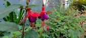 Enlarge photo 251