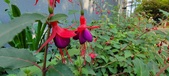 Enlarge photo 252