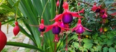 Enlarge photo 253