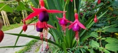 Enlarge photo 255