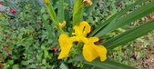 Enlarge photo 269
