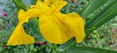 Enlarge photo 272