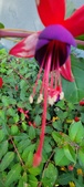 Enlarge photo 274