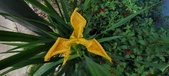 Enlarge photo 298