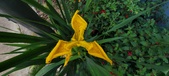 Enlarge photo 299