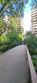 Enlarge photo 303