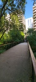 Enlarge photo 305