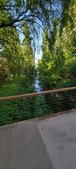 Enlarge photo 308