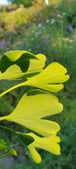 Enlarge photo 313